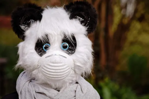 ביטקוזה קזינו תמיכה